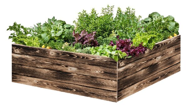 ATMOWOOD Lesena visoka greda 120 x 120 x 40 cm - ožgana