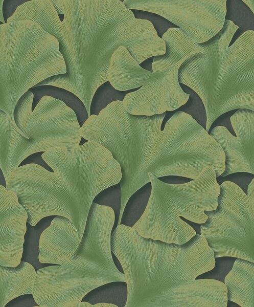 Tapeta Ginkgo Biloba 8 barv
