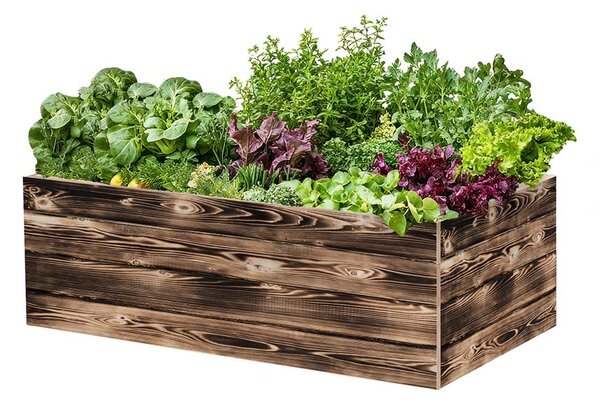 ATMOWOOD Lesena visoka greda 120 x 60 x 40 cm - ožgana