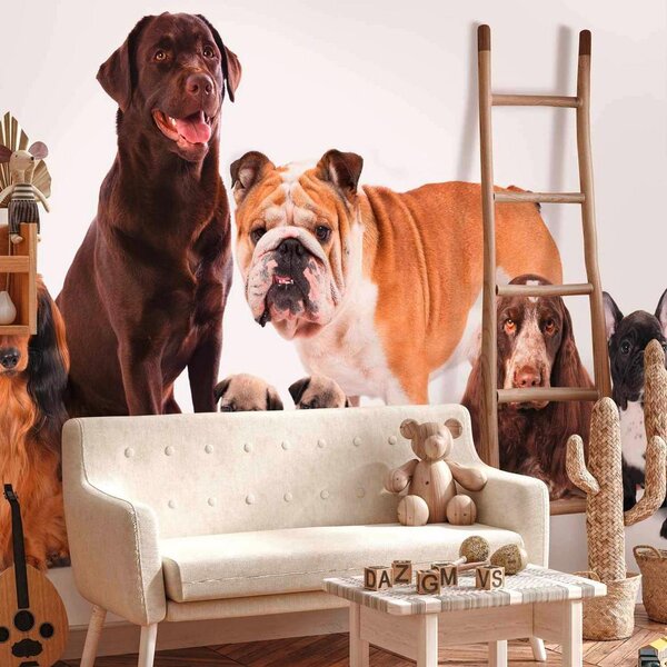 Artgeist Fototapeta Dogs, 150x105cm