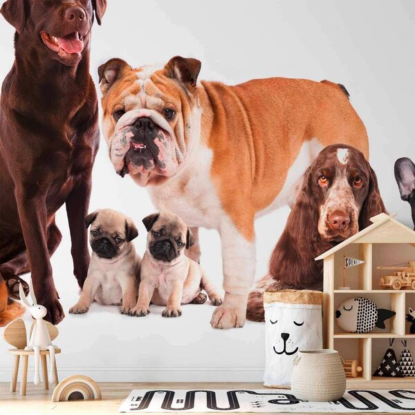 Artgeist Fototapeta Dogs, 150x105cm