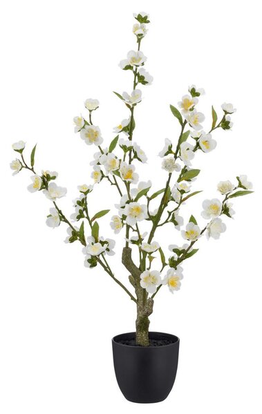 Mömax Umetna Rastlina Kirschblüte I -Paz-