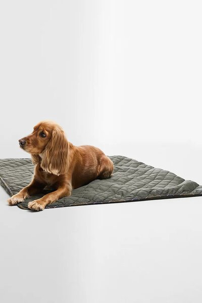 Barbour Odeja za hišnega ljubljenčka Dog Quilt & Fleece Blank