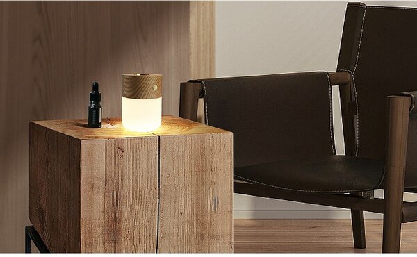 Električni difuzor Smart – Gingko