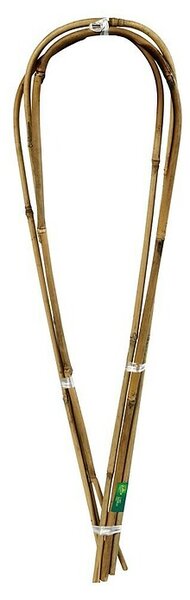 Nortene Lok za vrtnice (60 cm, 3 kos)
