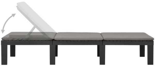 Vrtni ležalnik HAITI z blazino, 65×195×78cm, antracit I.P.A.E-Progarden