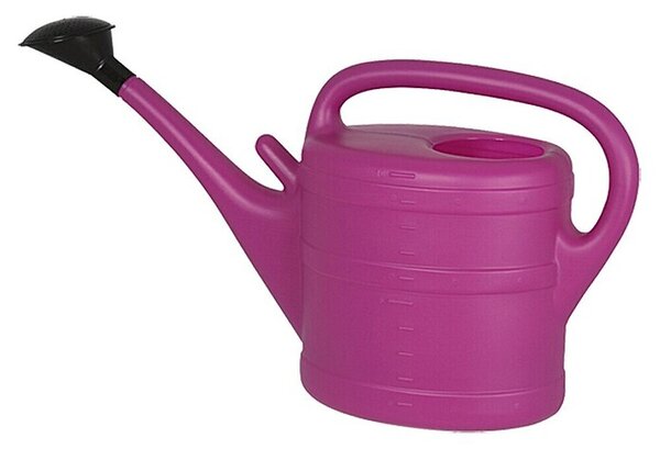 Geli Zalivalka (Lila, 10 l)