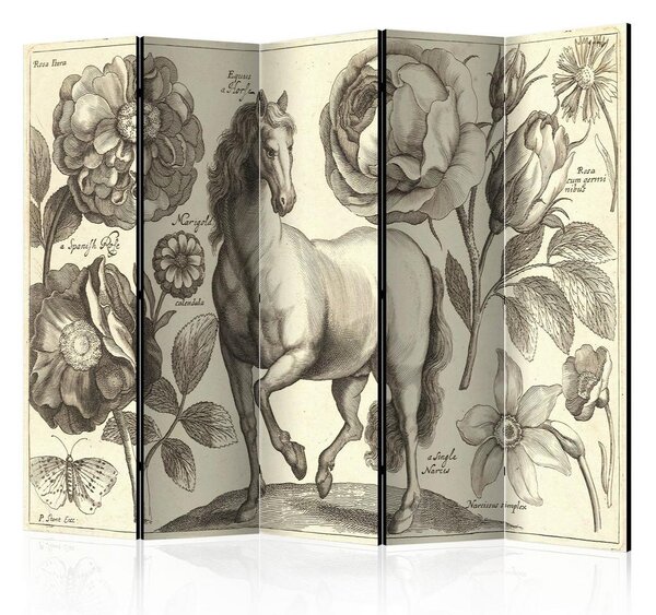 Artgeist Paravan Horse I, 5-Delni, Dvostranski