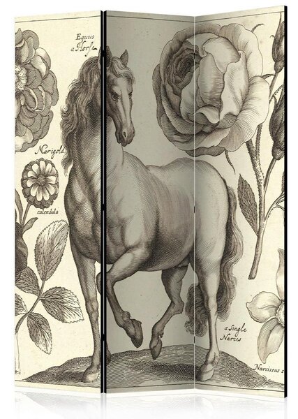 Artgeist Paravan Horse, 3-Delni, Dvostranski