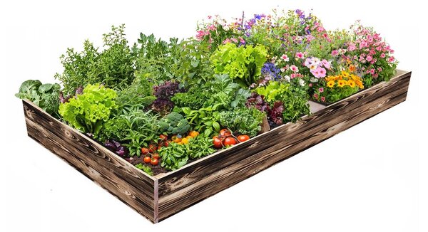 ATMOWOOD Lesena visoka greda 240 x 100 x 20 cm - ožgana