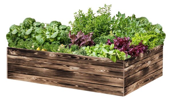 ATMOWOOD Lesena visoka greda 160 x 100 x 40 cm - ožgana