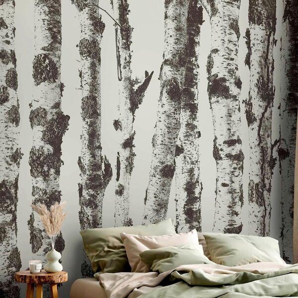 Artgeist Fototapeta Stately Birches, 100x70cm