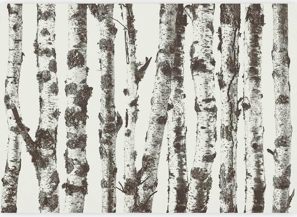 Artgeist Fototapeta Stately Birches, 100x70cm