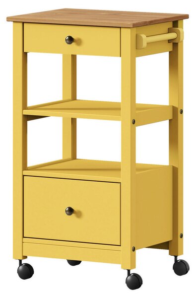SERVIRNI VOZIČEK 50/90,6/40 cm