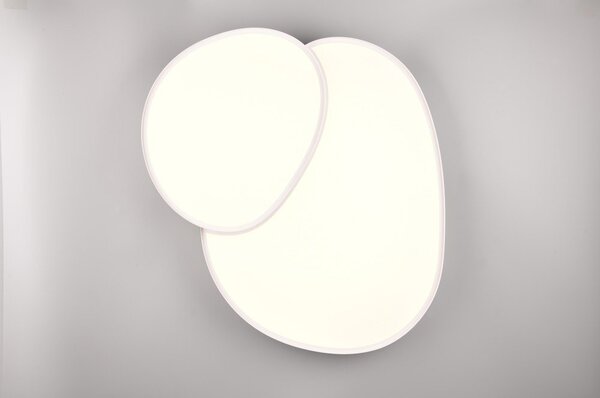 Bela LED stropna svetilka 63.5x77 cm Rise – Trio