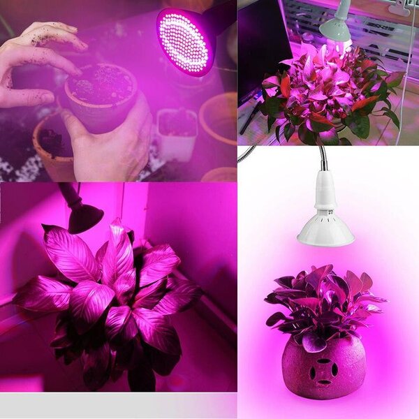 200 LED UV svetilka za rast rastlin 10W