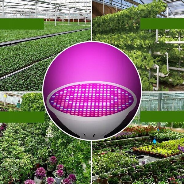 200 LED UV svetilka za rast rastlin 10W