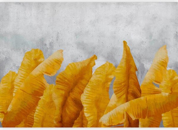 Artgeist Fototapeta Banana Leaves, 100x70cm