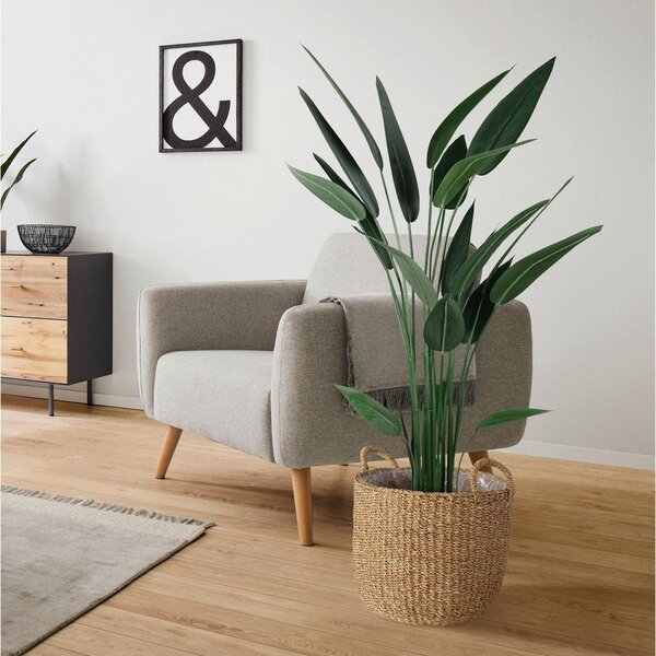 Modern Living Umetna Rastlina Wassercanna Ii -Paz-