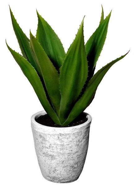 XXXL Umetna Rastlina Agave I -Paz-