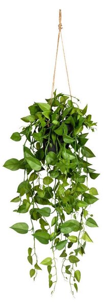 Modern Living Umetna Rastlina Philodendron Ii -Paz- -Ext-