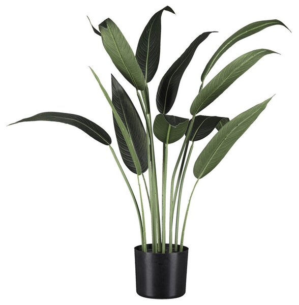 Modern Living Umetna Rastlina Wassercanna I