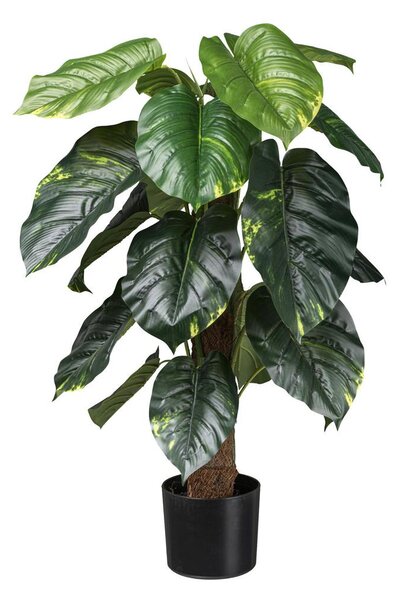 Modern Living Umetna Rastlina Philodendron Scandes I