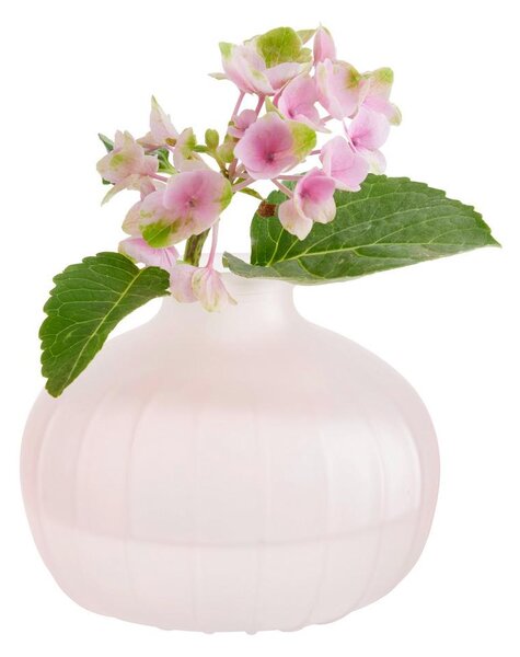 Modern Living Vase Jil I In Rosa