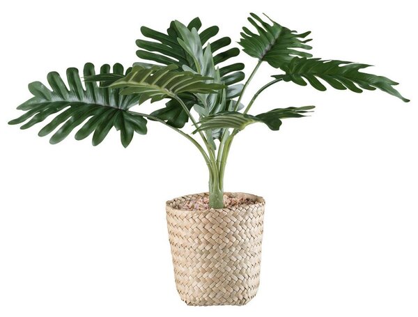 Modern Living Umetna Rastlina Philodendron Ii