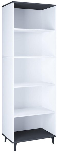 REGAL 60/184/31 cm antracit, bela