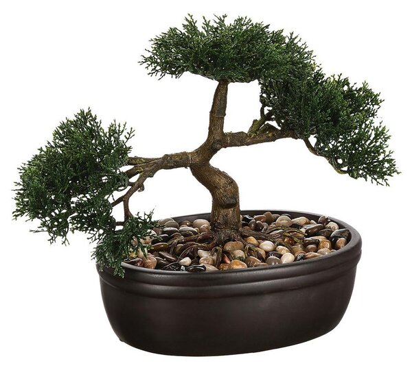 XXXL Okrasna Rastlina Bonsai