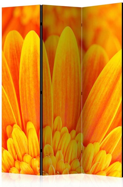 Artgeist Paravan Yellow Garbera Daisies, 3-Delni, Dvostranski