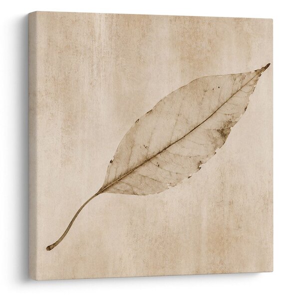 Slika minimalističen list v sepia slogu