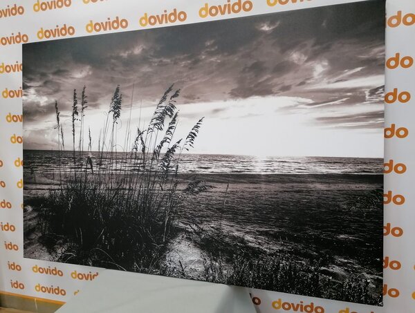 Slika sončni zahod na plaži v črnobeli izvedbi