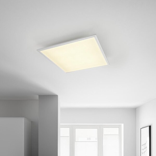 Premium Living Stropna Led-svetilka Cornelius -Akt-, 36 W