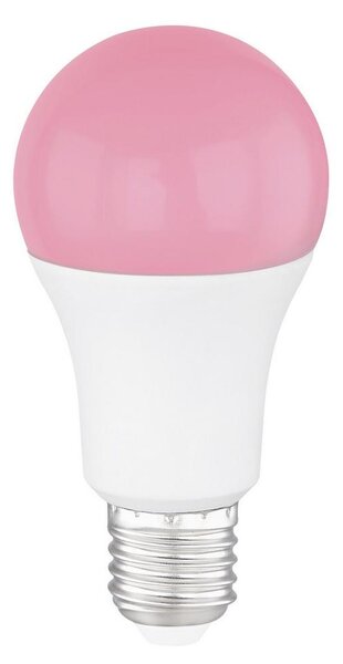 XXXL Led-sijalka 106710sh