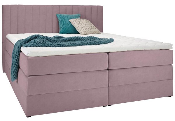 Premium Living Postelja Boxspring Simon, Rožnata,160x200