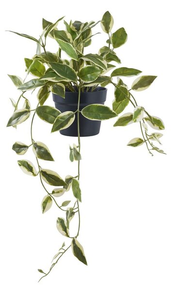 Umetna rastlina (višina 33 cm) Hoya Carnosa – House Nordic