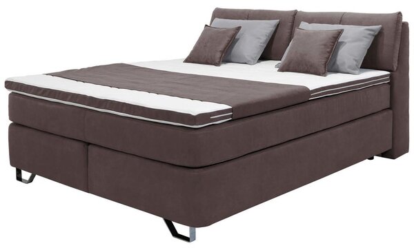 Mömax Postelja Boxspring Tabea, Temno Rjava, 160x200