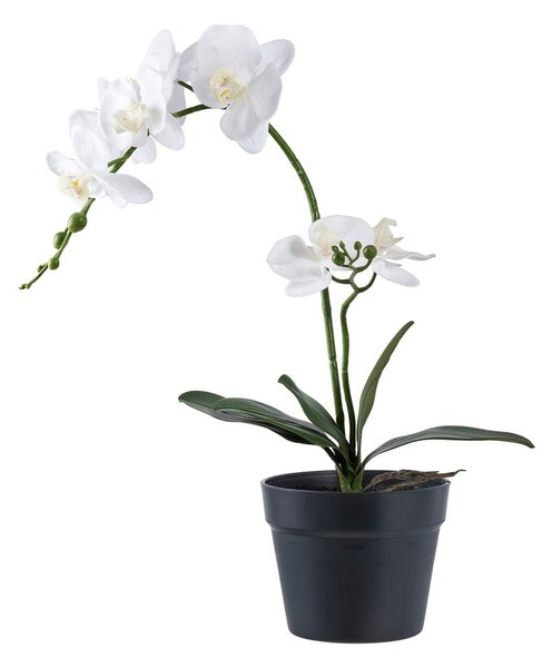 Umetna rastlina (višina 47 cm) Orchid – House Nordic