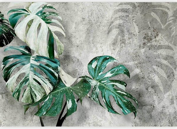 Artgeist Fototapeta Variegata, 150x105cm