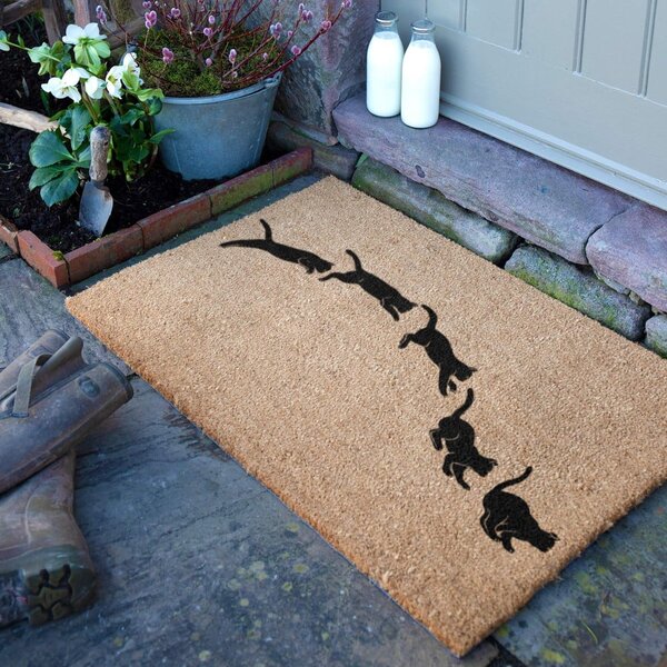 Predpražnik iz kokosovih vlaken 40x60 cm Jumping Cats – Artsy Doormats