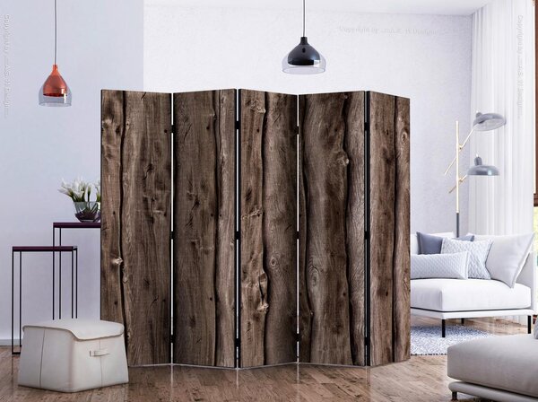 Artgeist Paravan Wooden Melody I, 5-Delni, Dvostranski