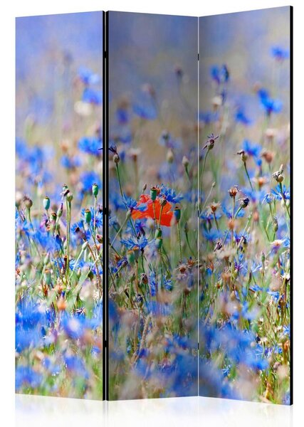 Artgeist Paravan Flower Garden, 3-Delni, Dvostranski