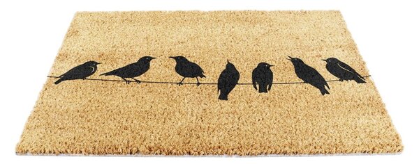 Predpražnik iz kokosovih vlaken 40x60 cm Birds On a Wire – Artsy Doormats