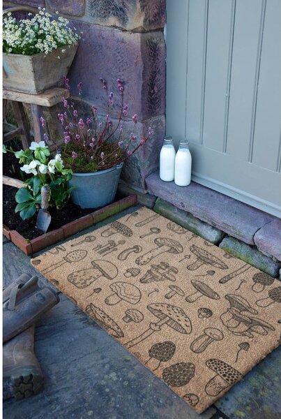 Predpražnik iz kokosovih vlaken 40x60 cm Mushrooms – Artsy Doormats