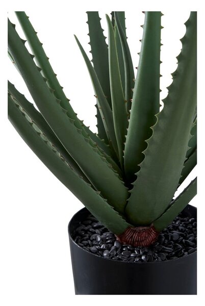 Umetna rastlina (višina 51 cm) Aloe Vera – House Nordic