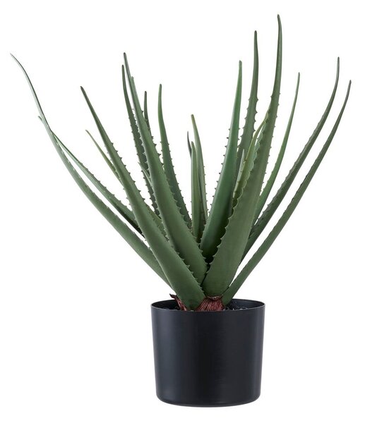 Umetna rastlina (višina 51 cm) Aloe Vera – House Nordic