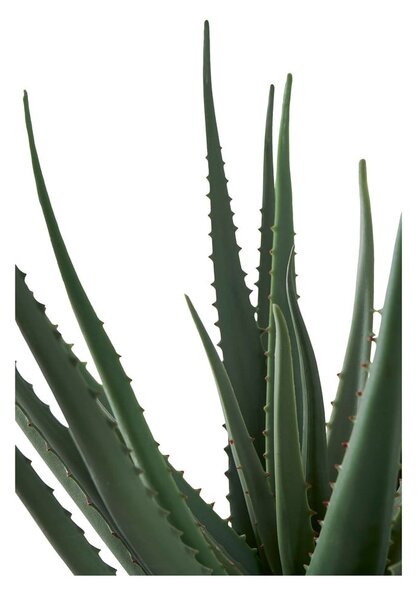 Umetna rastlina (višina 51 cm) Aloe Vera – House Nordic