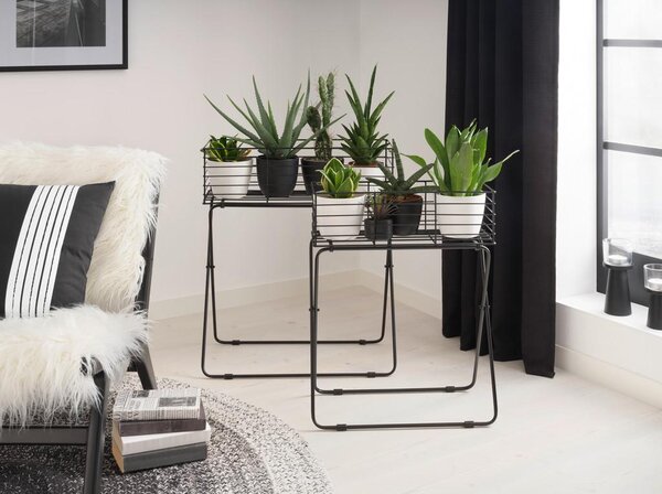 Modern Living Lonček Za Cvetlice Black Times I -Paz-